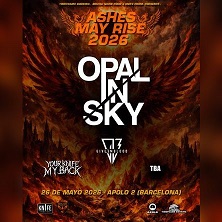 Ashes May Rise