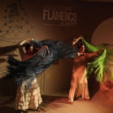 Centro Cultural Flamenco Madrid
