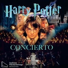 HARRY POTTER EN CONCIERTO