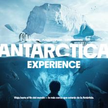Antarctica Experience