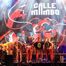 Calle Mambo