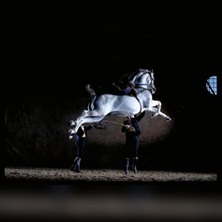 Como bailan los caballos andaluces