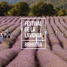 Campos de Lavanda de Brihuega