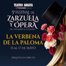 5&ordm; Festival de Zarzuela y &Oacute;pera - Teatro Amaya