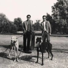 Taburete - Festival de La Lavanda