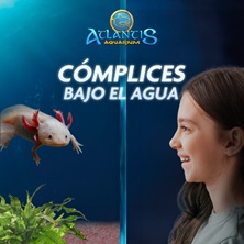 Atlantis Aquarium
