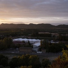Bodega Cune