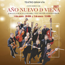 Johann Strauss Ensemble der Wiener Symphoniker