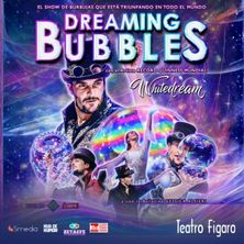 Dreaming Bubbles
