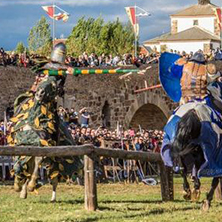 Gran torneo Medieval en Gines