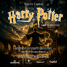 Harry Potter Sinf&oacute;nico