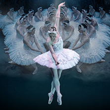 El Lago de los Cisnes - International Ballet Company