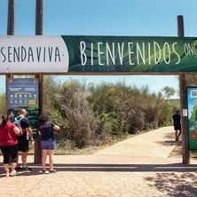 Sendaviva