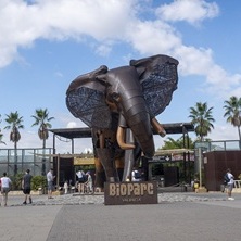 Bioparc Valencia