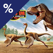 Dinosaurs Live Tenerife Sur