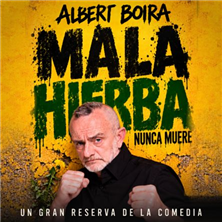 Albert Boira