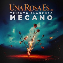 Flamenco Mecano