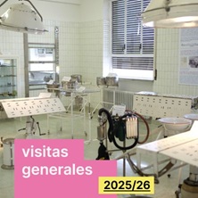 Quir&oacute;fano Negr&iacute;n