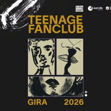 Teenage Fanclub