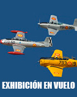 Exhibici&oacute;n en vuelo