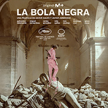 La bola negra
