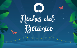 Noches del bot&aacute;nico 2022